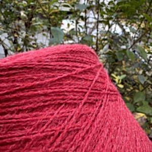 Pinori Filati-Brina 